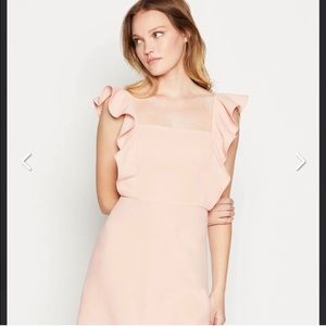 BCBGeneration Pink Ruffle Sleeve Dress Size 6